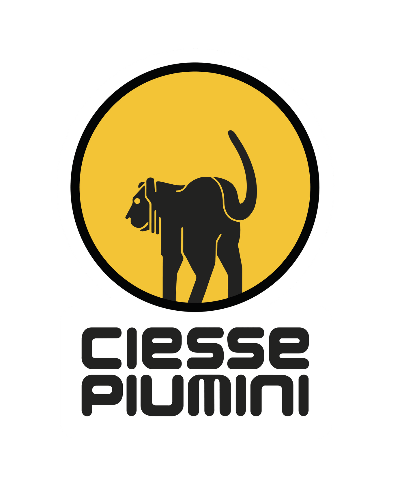 CIESSE PIUMINI UOMO