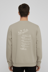 Sweatshirt back view